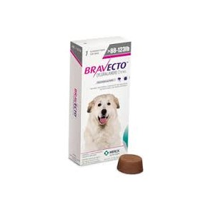 Bravecto Chew Very Lge Dog 40-56kg Purple