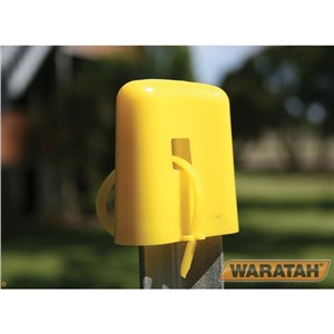 Post Cap Yellow Waratah with tail EA