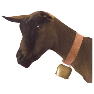 Goat Bell 65mm