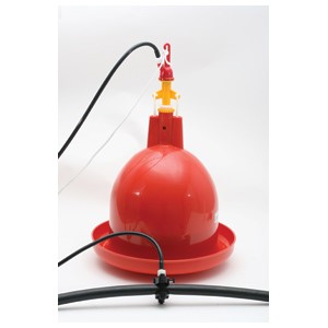 Poultry Ballast Drinker Automatic