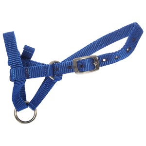 Halter Alpaca Red Small