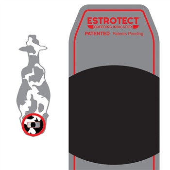 Estrotect Heat Detecton Patch (50) Red