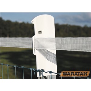 Star Post Cap White Waratah Long Ea