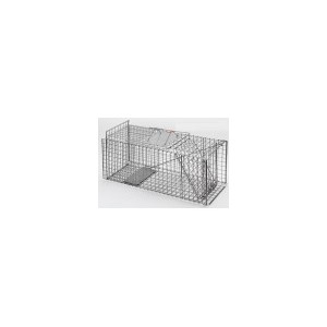 Trap Possum/Cat Budget