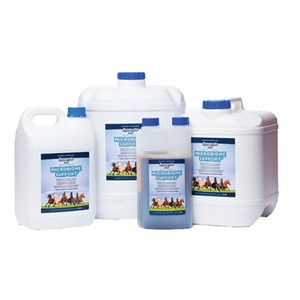 Dynavyte Equine Microbiome Support 1L