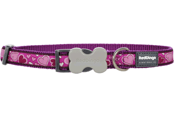 Red Dingo Dog Collar