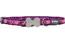 Red Dingo Dog Collar