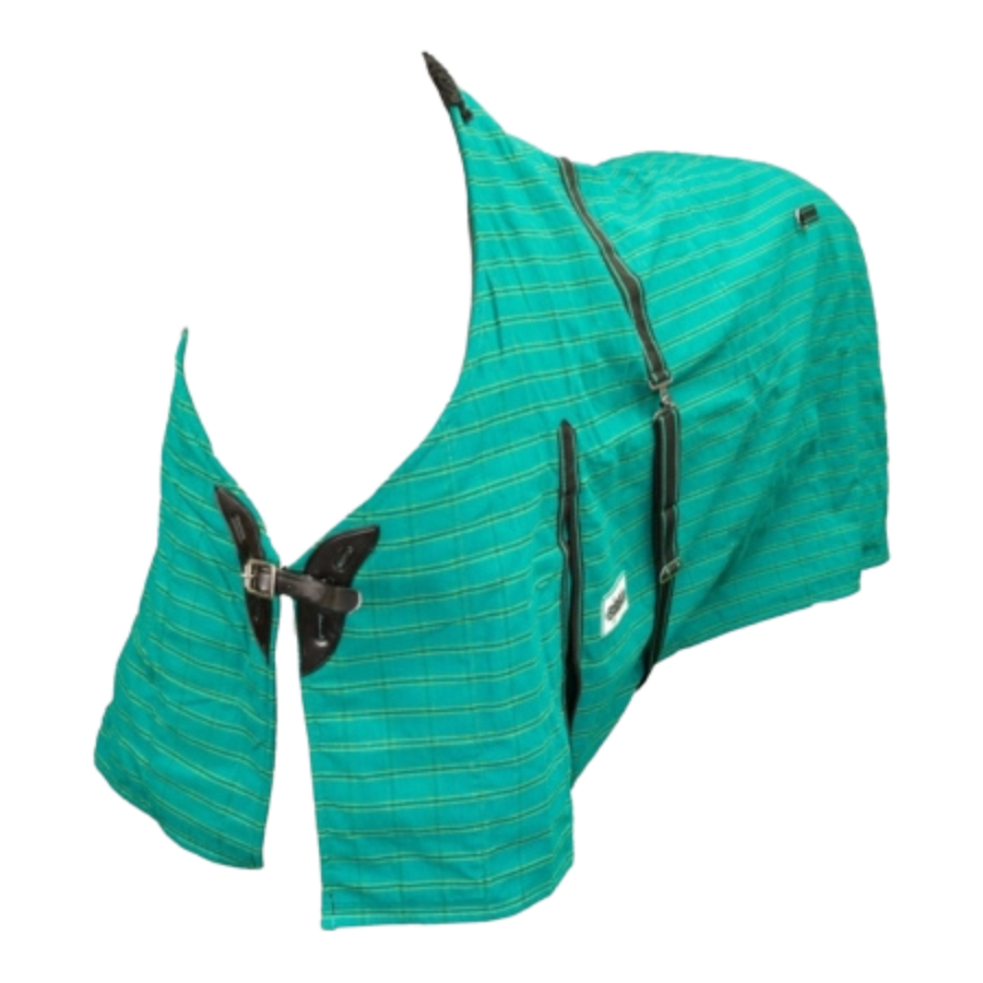 Eureka Canvas Winter Rug Green Lined