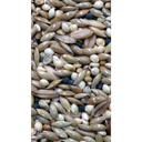 Avi Grain Canary Mix Bird Seed 20kg