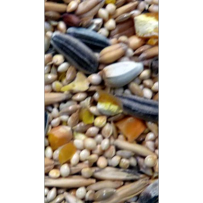 Avi Grain Small Parrot Mix Bird Seed 20kg