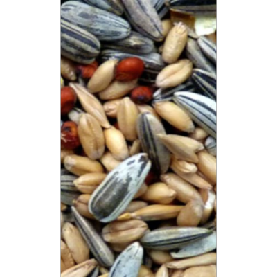 Avi Grain Cocky Mix Bird Seed 20kg