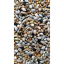 Avi Grain Finch Mix Bird Seed 20kg (RED)