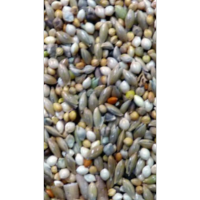 Avi Grain Budgie Blue Bird Seed 20kg