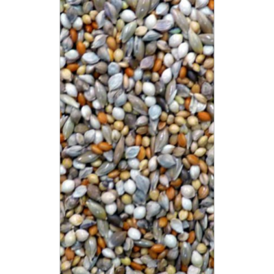 Avi Grain Finch Blue Bird Seed 20kg