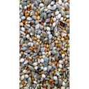 Avi Grain Finch Blue Bird Seed 20kg