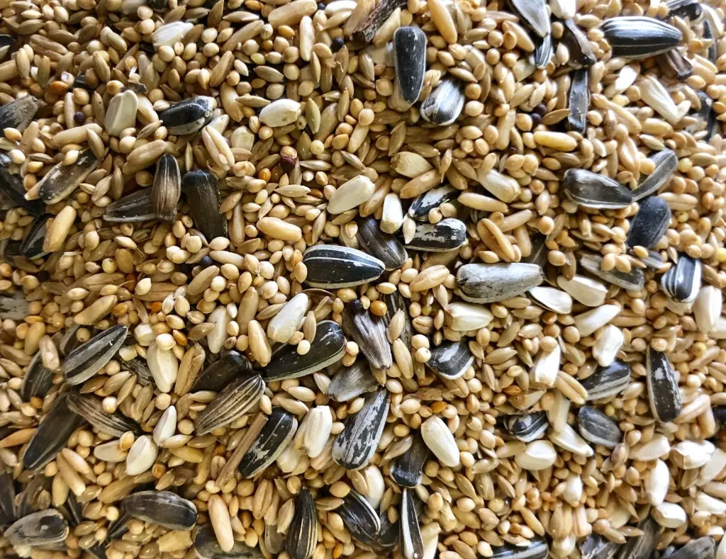 Avi Grain Peachface Mix Bird Seed 20kg