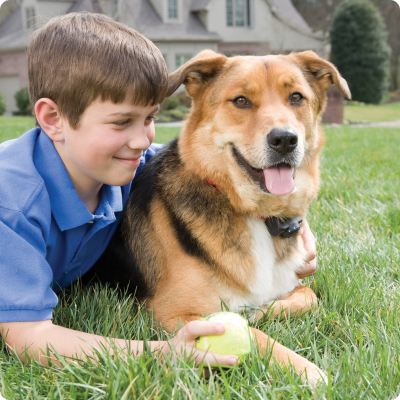 PetSafe Add a Dog Deluxe Ultralight Dog Receiver Collar In Ground Fence