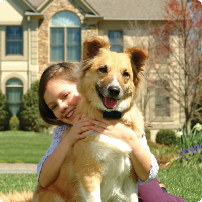 PetSafe Stubborn Dog Receiver Collar 