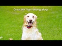 PetSafe Stubborn Dog Receiver Collar 