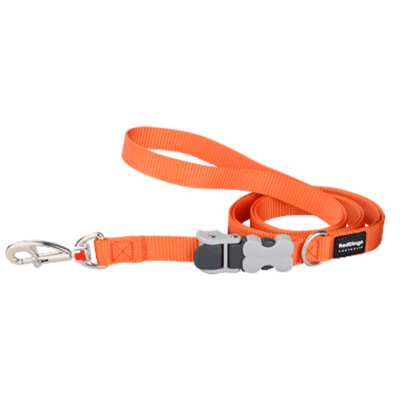 Red Dingo Super Lead