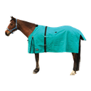 Horse Rug Canvas Winter Green Lined (Eureka)