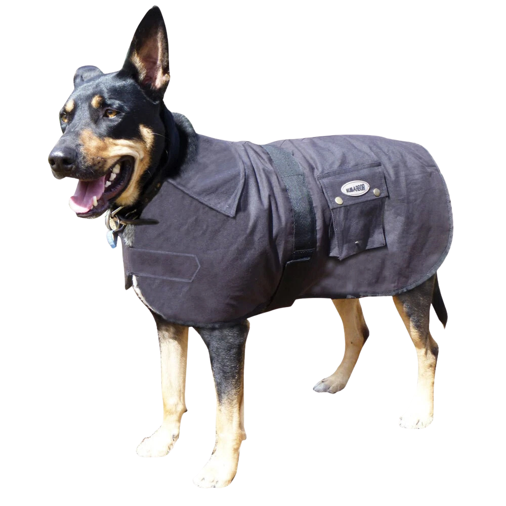 Nullabor Oilskin Dog Rug