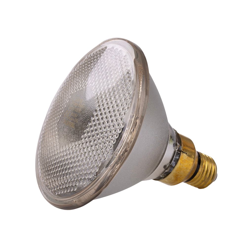 Heat Lamp Infrared Clear 100w