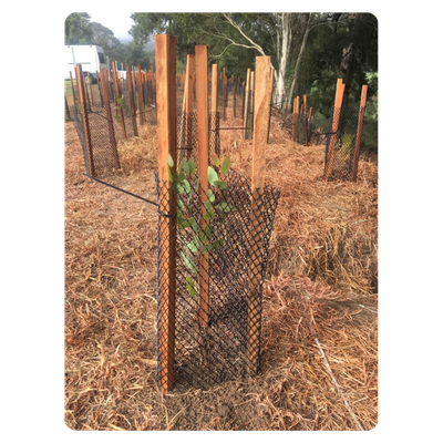 Hardwood Stake 38 x 38mm 900mm EACH 