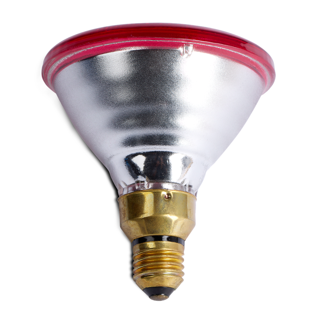 Heat Lamp Infrared Red 100w Bainbridge