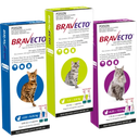 Bravecto Spot-on for Cats