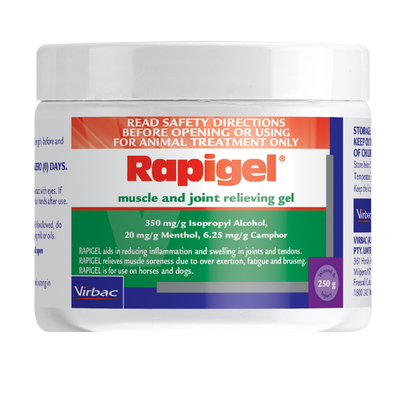 Rapigel Tub 250g