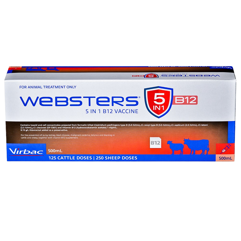Webster 5 in 1 B12 500ml