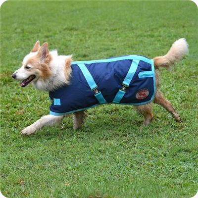Dog Rug - ThermoMaster 56cm - Size 22