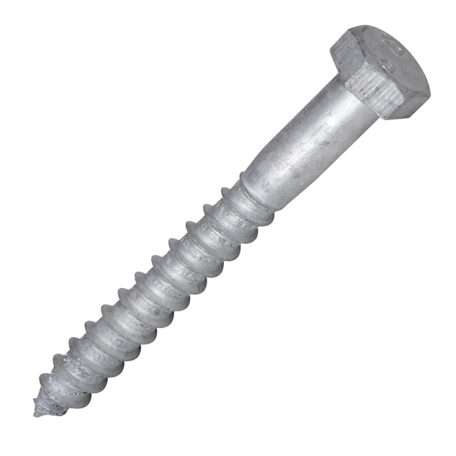Coach Screw Galv M12X100m Each