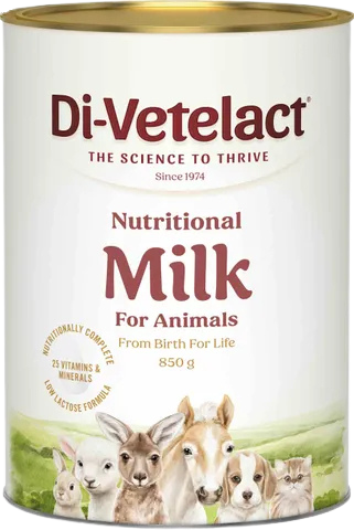 Divetelact Original DV Powder 850gm