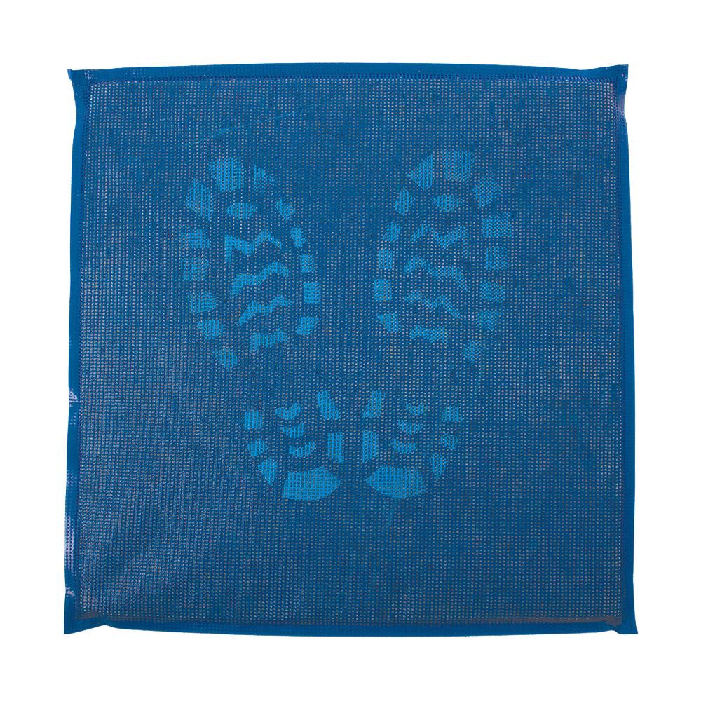 Disinfection Mini Mat 45 x 45cm Blue