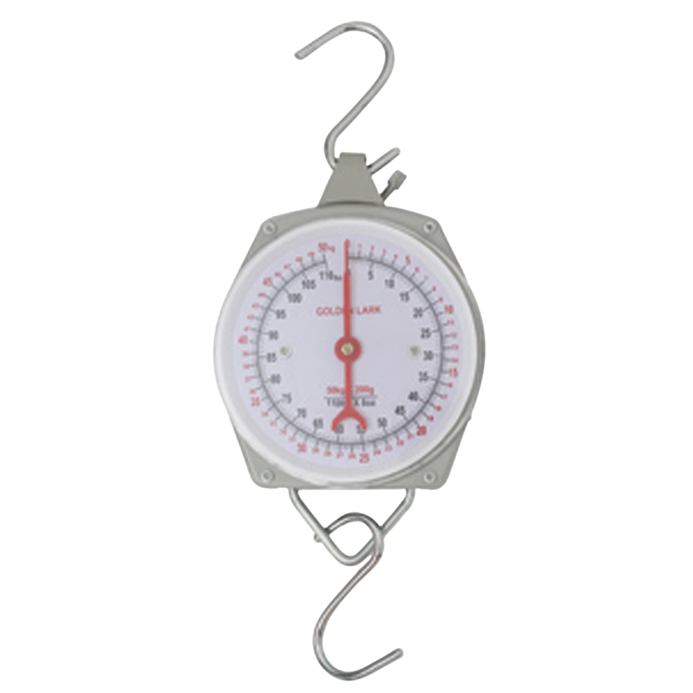 Scale Clockface Economy 100kg
