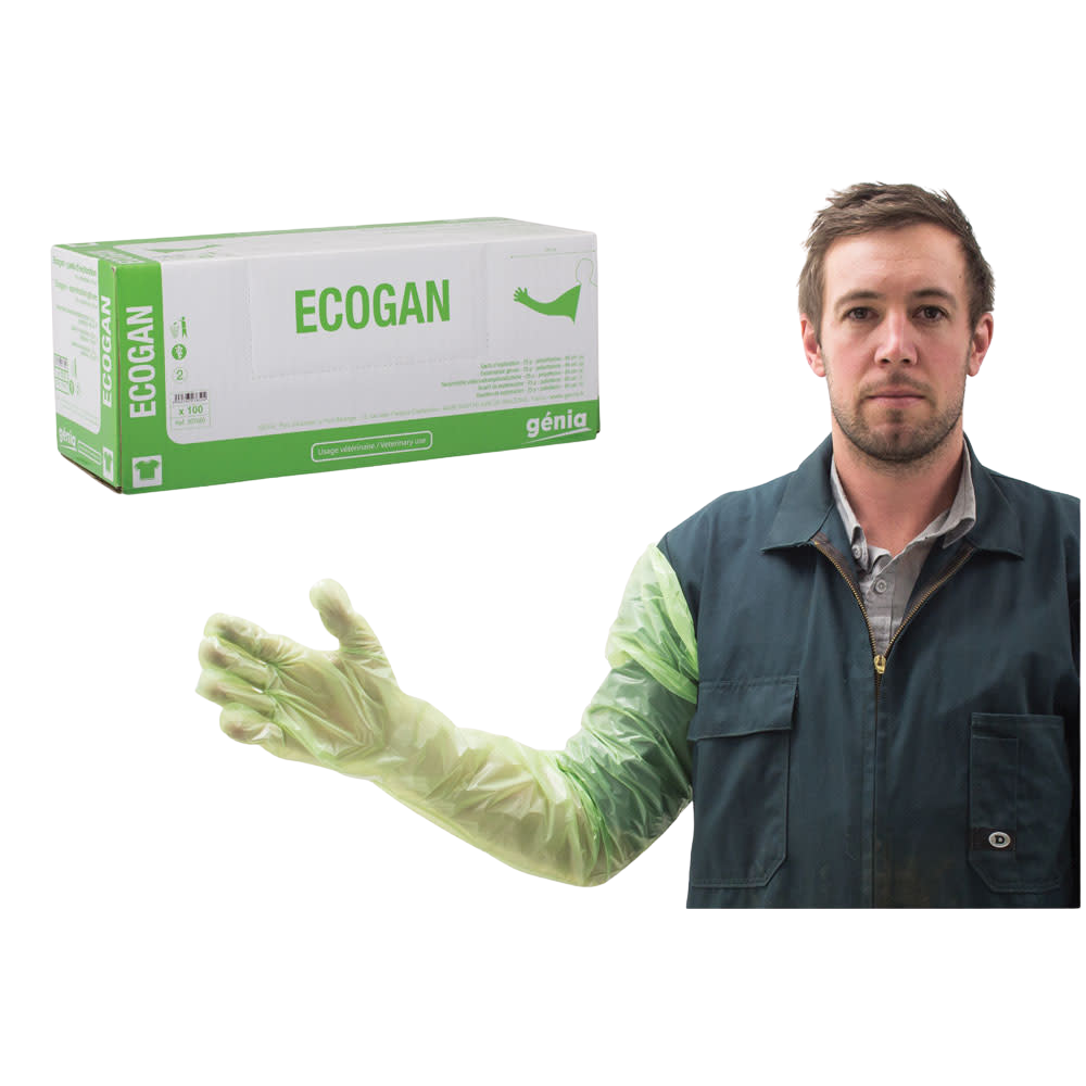 Gloves Exam Genia Ecogan 100pk
