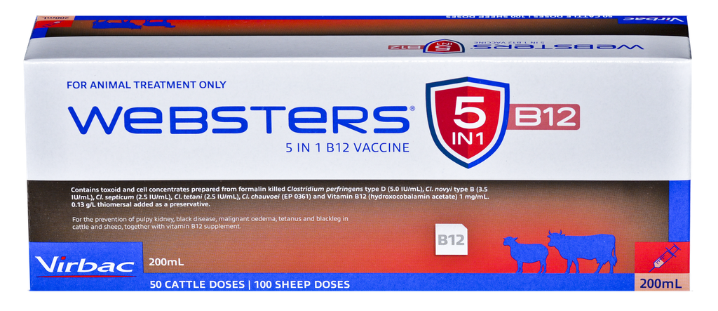 Webster 5 in 1 B12 200ml