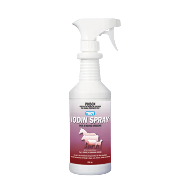 Troy Iodine Spray 500ml