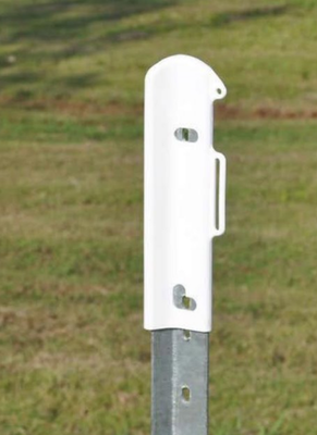 Star Post Cap White Waratah Long Each