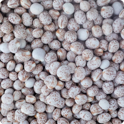 Avi Grain Lupins Whole 20kg