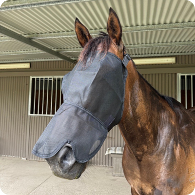 Flymask & Nose Protector Eureka - Cob