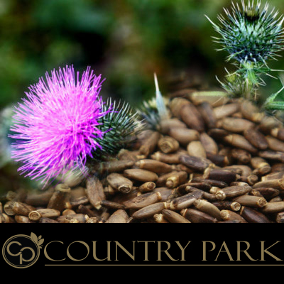 Country Park St Marys Milk Thistle Powder 1kg