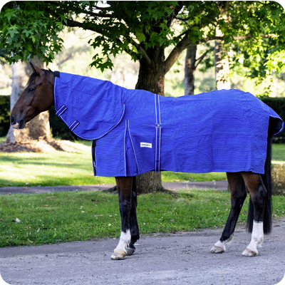 Horse Rug Canvas Combo Unlined Blue 6'0
