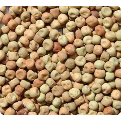 Avi Grain Dun Peas 20kg