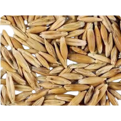 Avi Grain Whole Oats 20kg