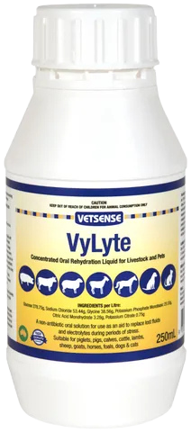 Vylyte Liquid 250ml Vetsense