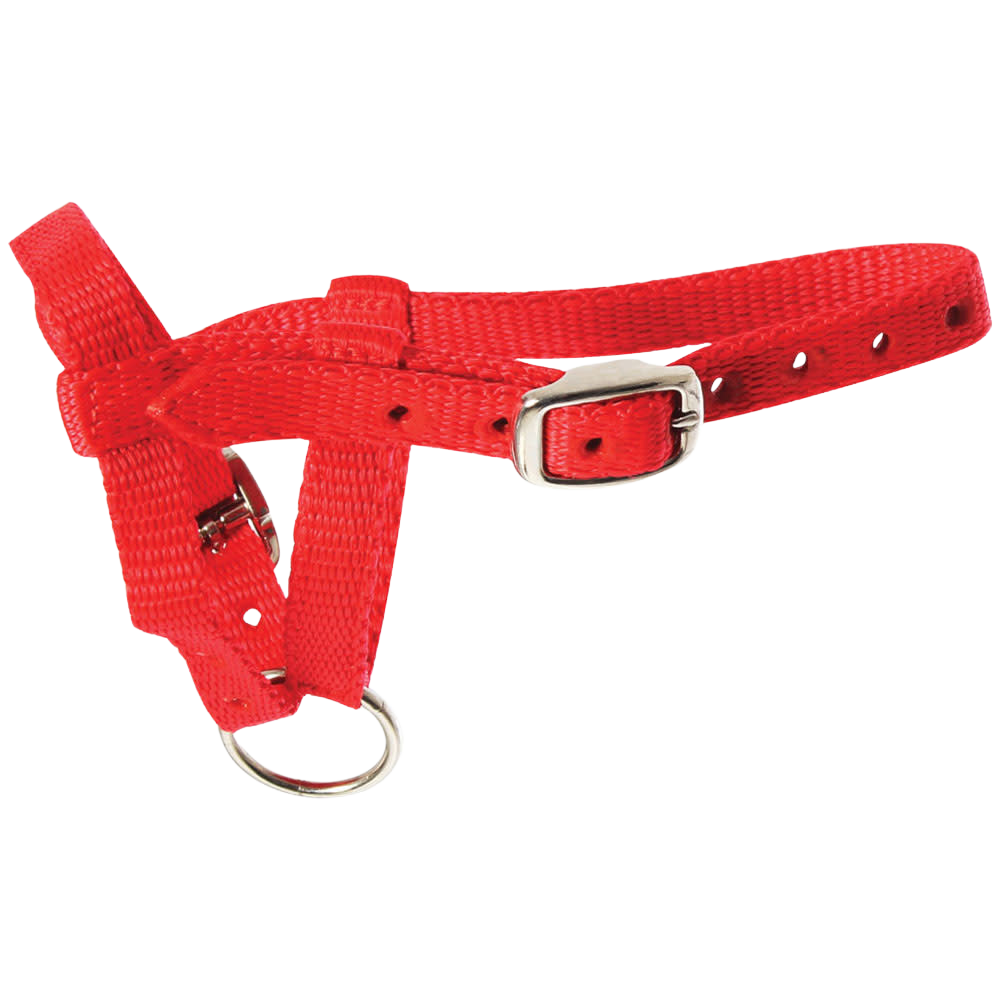 Halter Alpaca Red Small