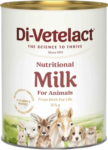 Divetelact Original DV Powder 375gm
